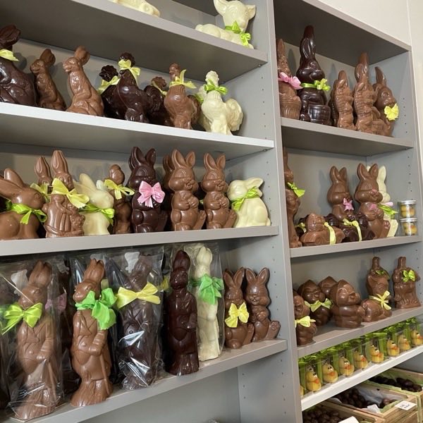 Chocoladen paashazen in melk-, fondant- en witte chocolade